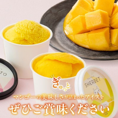 【2026年7月下旬発送開始】完熟マンゴーのジェラート&シャーベット130ml×6個[Dw012]