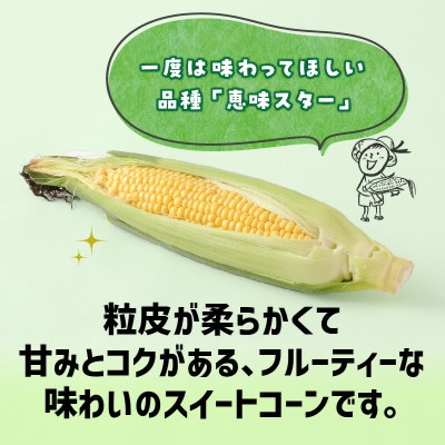【2025年6月上旬から順次発送開始】朝採り とうもろこし 恵味スター(10～12本)スイートコーン
