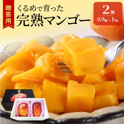 【2025年7月上旬から順次発送開始】くるめで育った完熟マンゴー　約0.9～1kg(2玉)