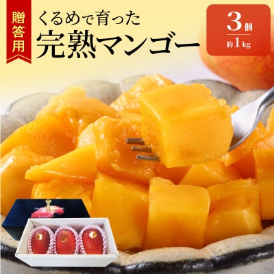 【2025年7月上旬から順次発送開始】くるめで育った完熟マンゴー　約1kg(3玉)