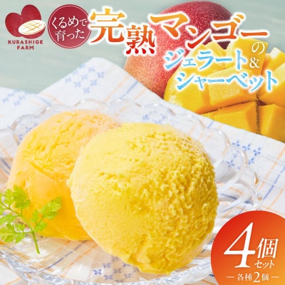 【2026年7月発送開始】完熟マンゴーのジェラート&シャーベット130ml×4個