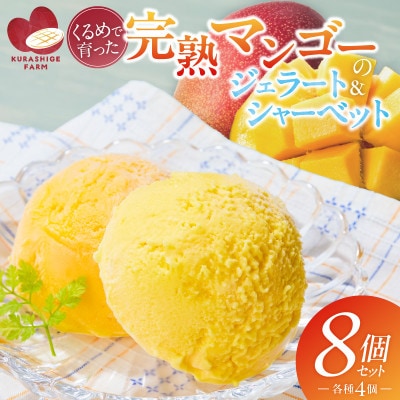 【2026年7月発送開始】完熟マンゴーのジェラート&シャーベット130ml×8個