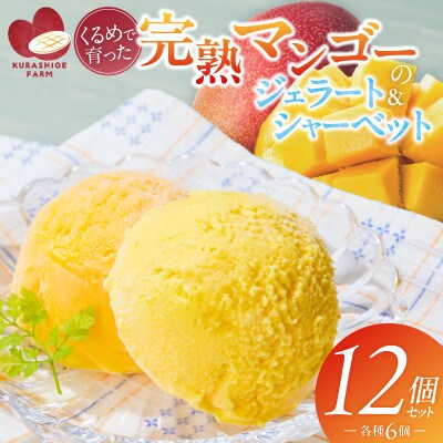 【2026年7月発送開始】完熟マンゴーのジェラート&シャーベット130ml×12個