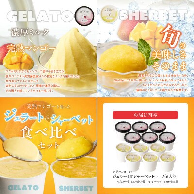 【2026年7月発送開始】完熟マンゴーのジェラート&シャーベット130ml×12個
