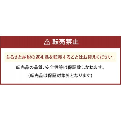 マイクロバブルシャワー「ピュアブルII」グリッターホワイト