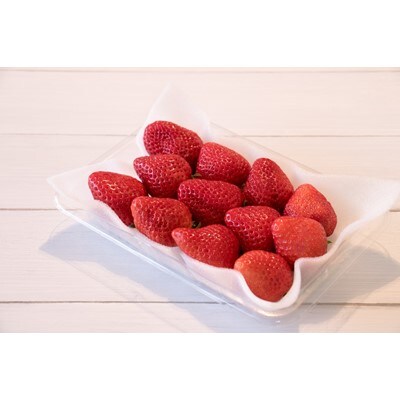 あまおういちご　約280g×5パック(計約1,400g)
