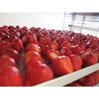 【数量限定】【2024年4月中旬より順次発送】冷凍あまおう 2kg