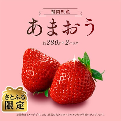 【さとふる限定】福岡県産あまおう 約280g×2パック 約560g