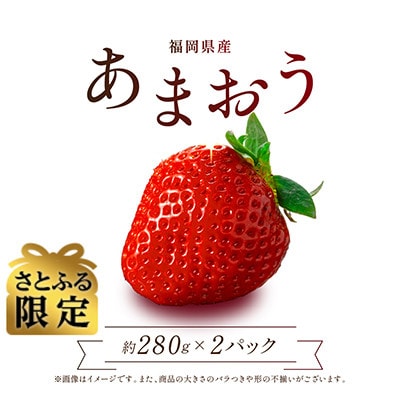 【さとふる限定】福岡県産あまおう 約280g×2パック 約560g