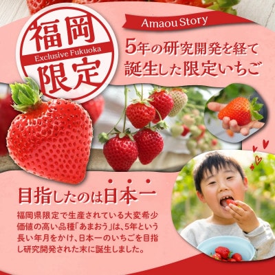 【さとふる限定】福岡県産あまおう 約280g×2パック 約560g