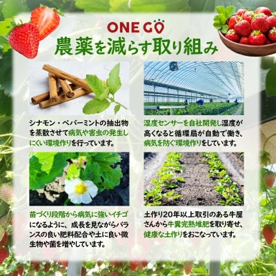 【さとふる限定】福岡県産あまおう 約280g×2パック 約560g