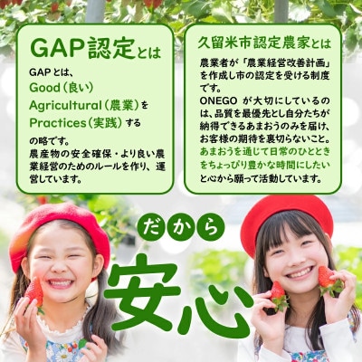 【さとふる限定】福岡県産あまおう 約280g×2パック 約560g