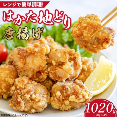 はかた地どり　から揚げ1020g