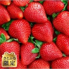 【さとふる限定】2026年2月～発送開始 福岡県産あまおう4パック【先行予約】