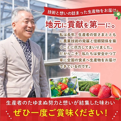 【さとふる限定】2027年2月下旬～発送 あまおう約300g×4パック(約1,200g)