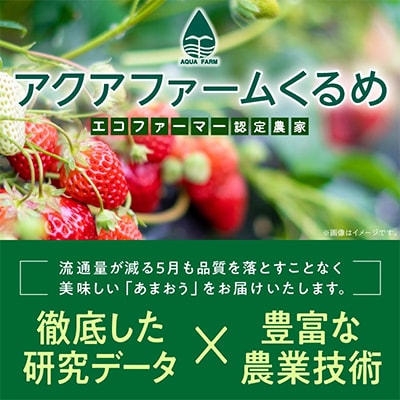 【さとふる限定】2027年2月下旬～発送 あまおう約300g×4パック(約1,200g)