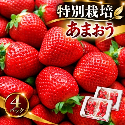 【特別栽培】【2026年12月発送開始】福岡県産特別栽培あまおう4パック