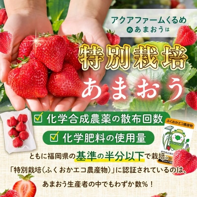 【特別栽培】【2026年12月発送開始】福岡県産特別栽培あまおう4パック