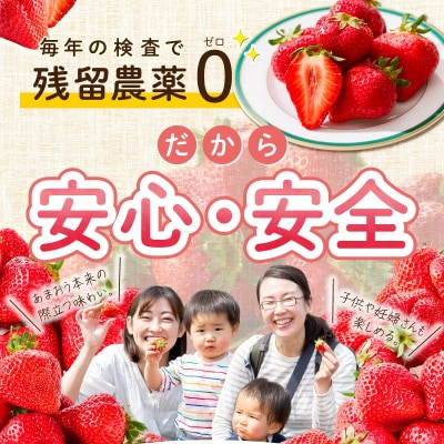 【特別栽培】【2026年12月発送開始】福岡県産特別栽培あまおう4パック