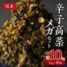 国産辛子高菜メガセット