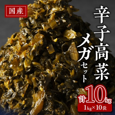 国産辛子高菜メガセット