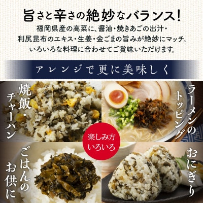 国産辛子高菜メガセット