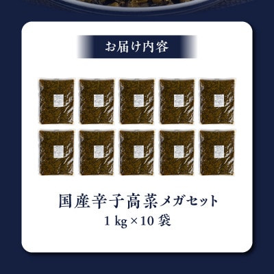 国産辛子高菜メガセット
