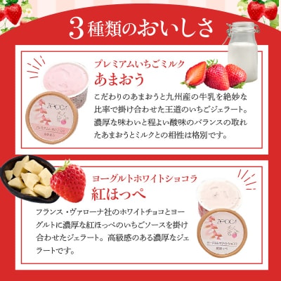 3種類のいちごジェラート詰め合わせ(6個入り)
