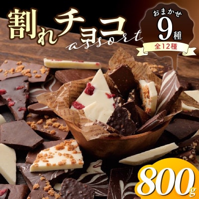 割れチョコ詰め合わせ おまかせ9種 計800g