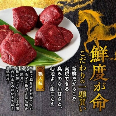 やわらか 国産馬刺し (ロース・ヒレ)【100g×10パック】馬刺しタレ【あまくち】付き(福岡県産)
