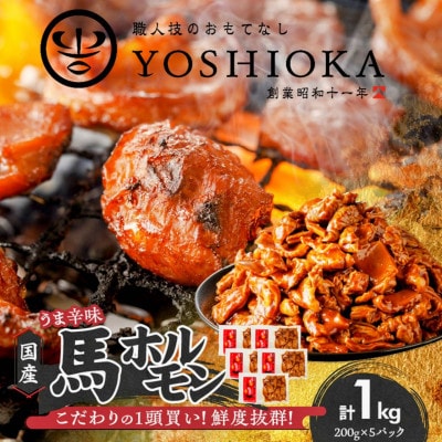 国産馬ホルモン 【旨辛味】【200g×5パック】 (福岡県産)