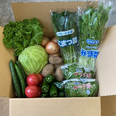 福岡県久留米市産　新鮮野菜セット