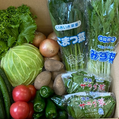 福岡県久留米市産　新鮮野菜セット