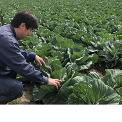 福岡県久留米市産　新鮮野菜セット