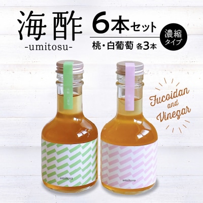 フルーツビネガー　umitosu6本セット(濃縮タイプ)