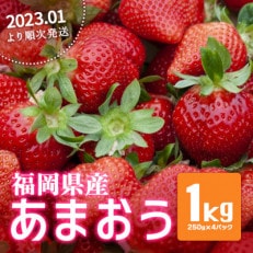 【大粒Gサイズ】福岡県産 あまおう1kg(250g&times;4)