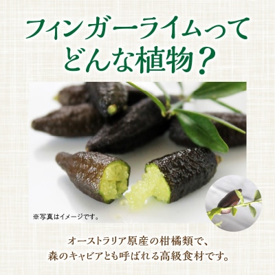 チーム田主丸『我が家の食卓樹シリーズ』【フィンガーライム】