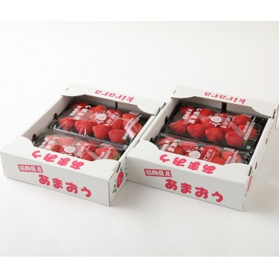 あまおう 約1140g(約285g4パック)(久留米市)