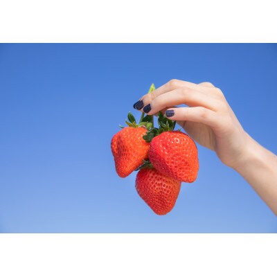 あまおう 約1140g(約285g4パック)(久留米市)