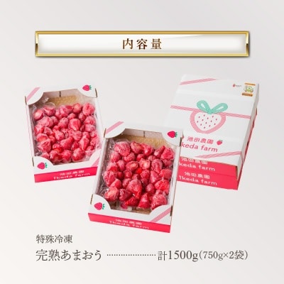 旬のおいしさそのまま!特殊冷凍あまおう1.5kg