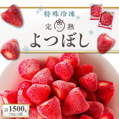旬のおいしさそのまま!特殊冷凍よつぼし1.5kg