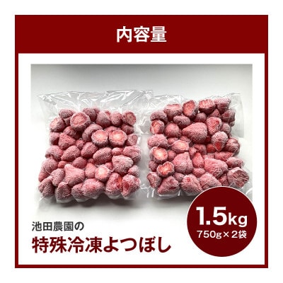 旬のおいしさそのまま!特殊冷凍よつぼし1.5kg