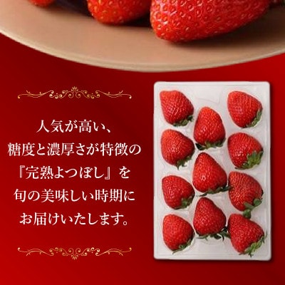 池田農園の特別栽培完熟よつぼし　250g×4パック