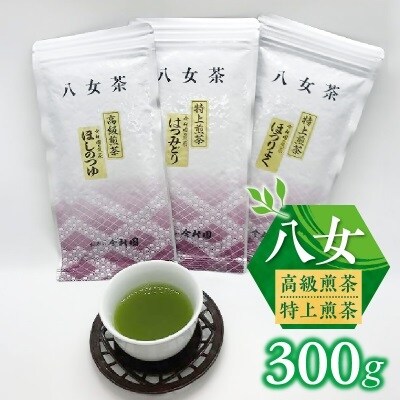八女高級煎茶　八女特煎茶300gセット