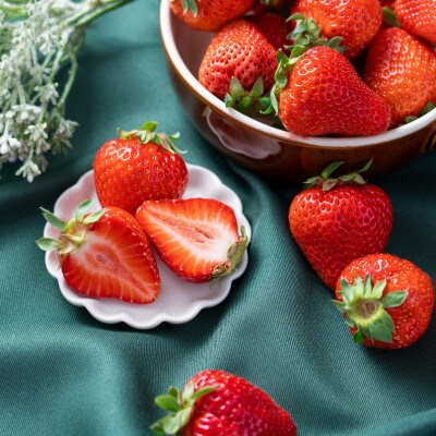 【12月上旬より順次発送【久留米】フルーツ専門店が選んだ「あまおう苺」冬4パック