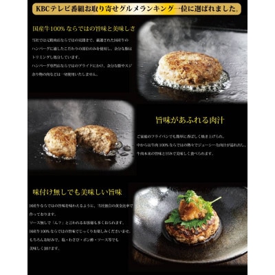 【発送月固定定期便】国産牛100%おやじのつくったハンバーグ100g×10個全12回
