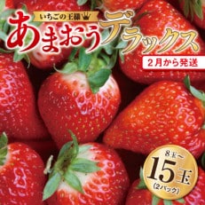 【あまおうデラックス】8玉～15玉(2パック)【2月より順次発送】(久留米市)