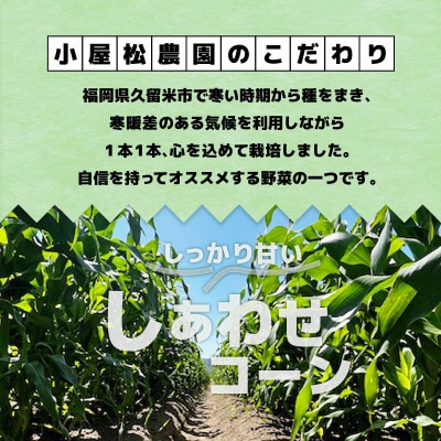 【2025年発送】しあわせコーン(バイカラー種)8本入