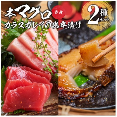 国産本マグロとカラスガレイの幽庵漬け詰め合わせ　2種セット