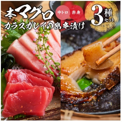 国産本マグロとカラスガレイの幽庵漬け詰め合わせ　3種セット